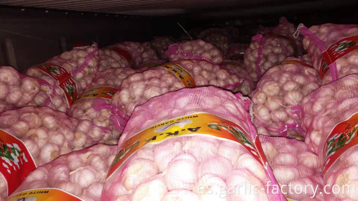 shandong fresh garlic with low price for wholesale